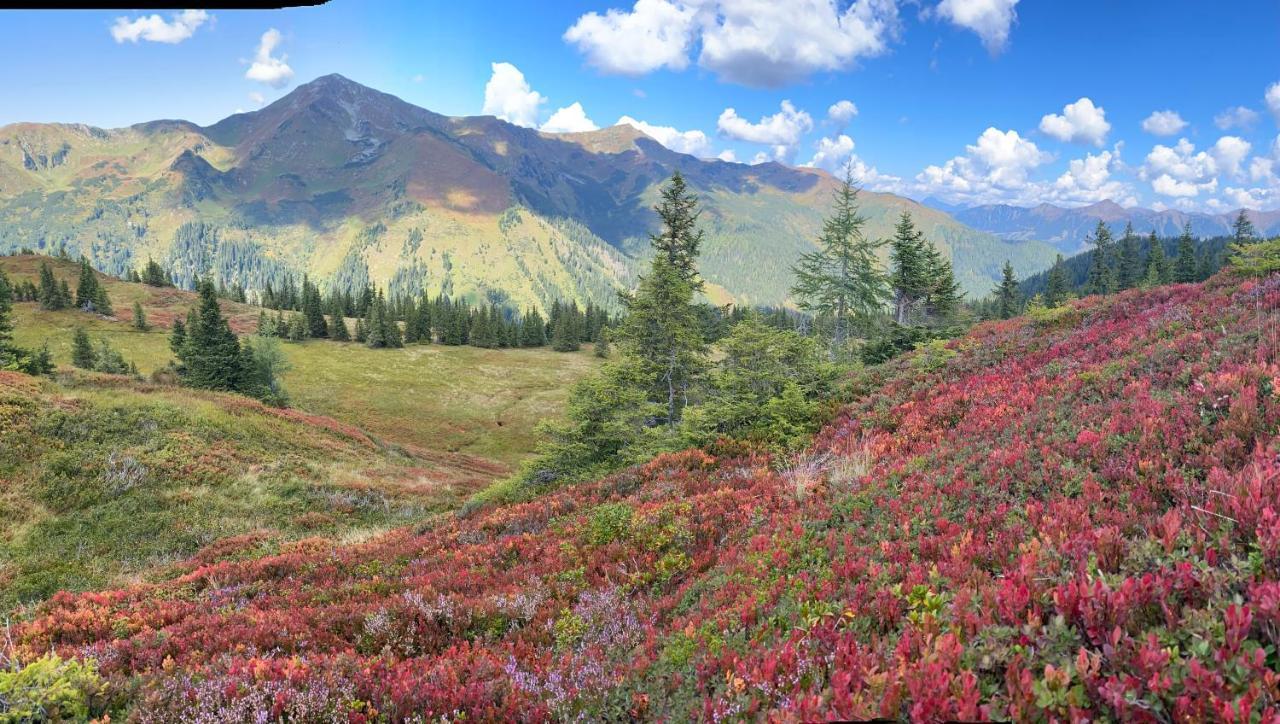 Alpengasthof Grobbauer Hotel Ротенман Екстериор снимка