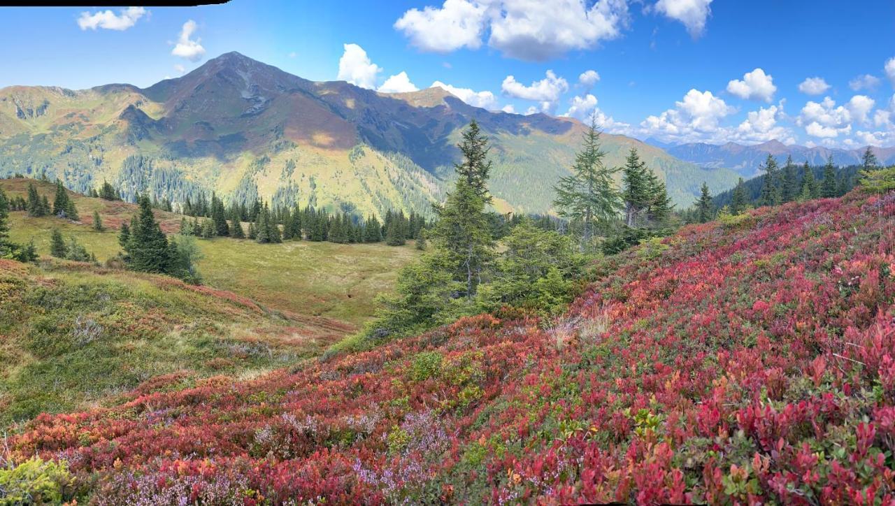 Alpengasthof Grobbauer Ротенман Екстериор снимка