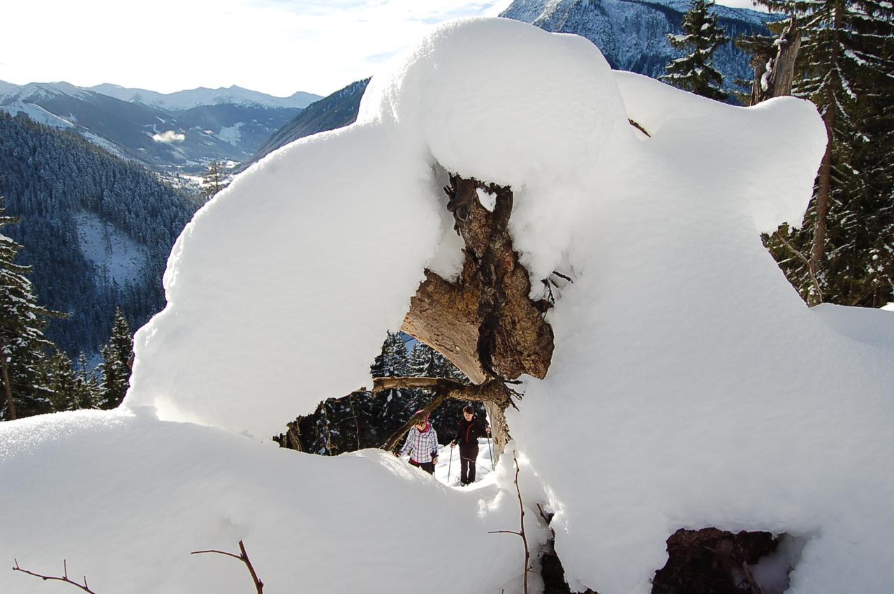 Alpengasthof Grobbauer Hotel Ротенман Екстериор снимка