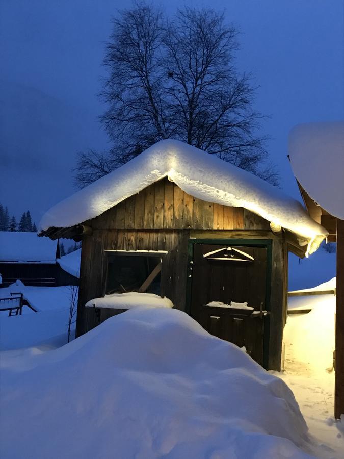 Alpengasthof Grobbauer Hotel Ротенман Екстериор снимка