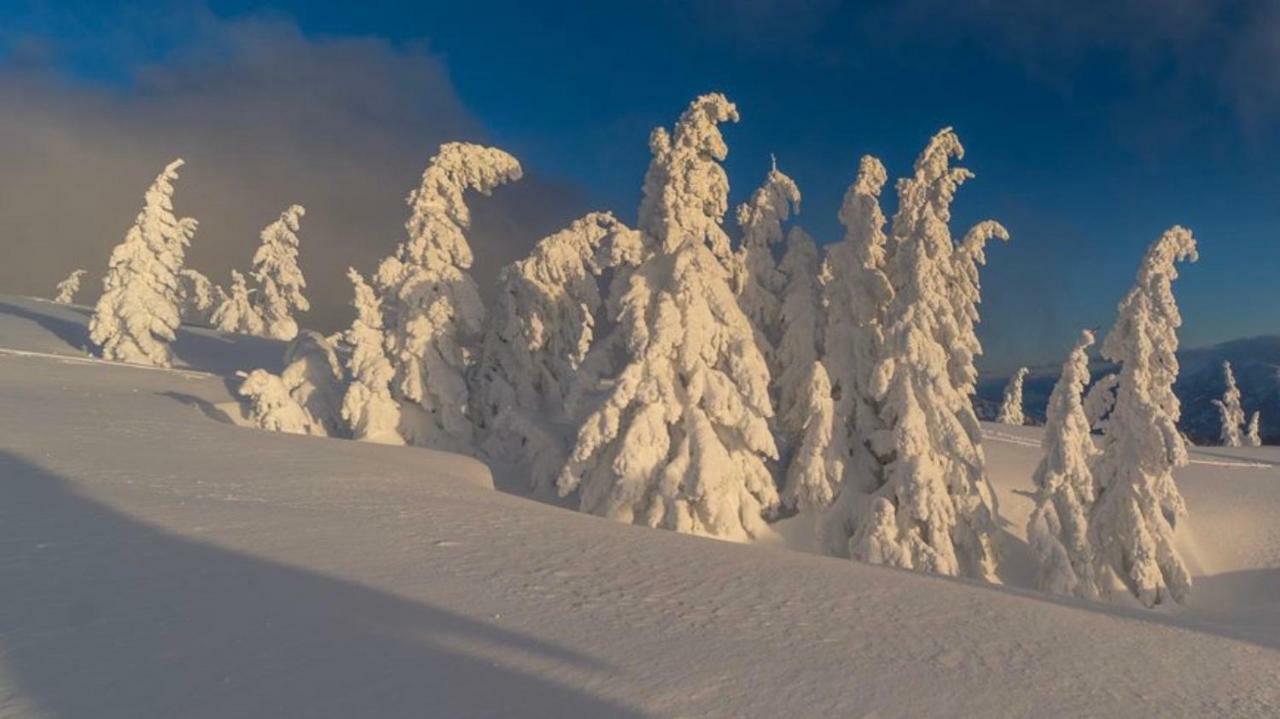 Alpengasthof Grobbauer Hotel Ротенман Екстериор снимка